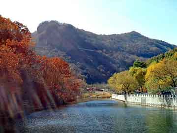 管家婆黑白马报图库，涤纶格栅